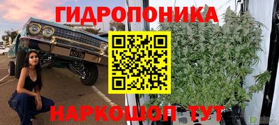 хмурый Конаково