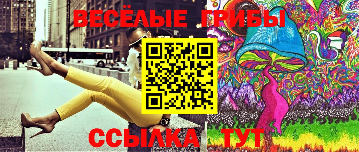 Псилоцибиновые грибы Psilocybine cubensis Химки